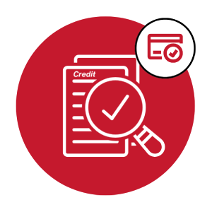 Credit Readiness Assessment